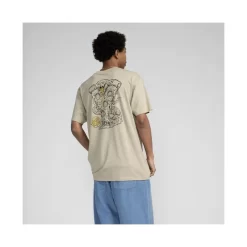 Braun Fever Dream - SANTA CRUZ